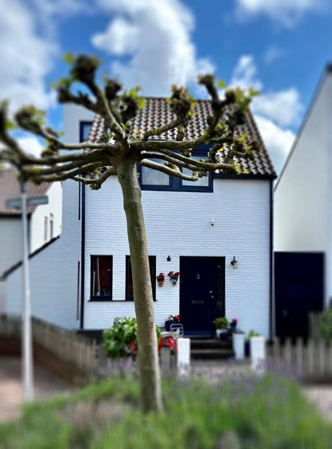 Continentaiz Appartement Zandvoort Exterior photo